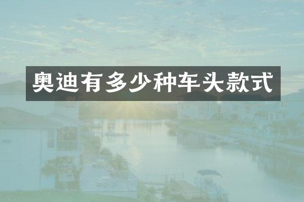 奥迪有多少种车头款式