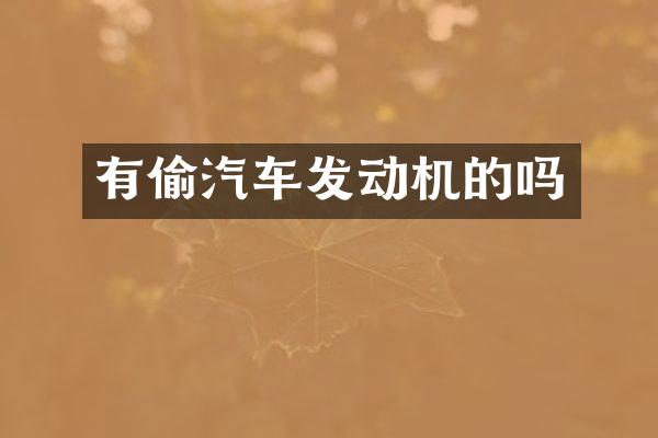 有偷汽车发动机的吗