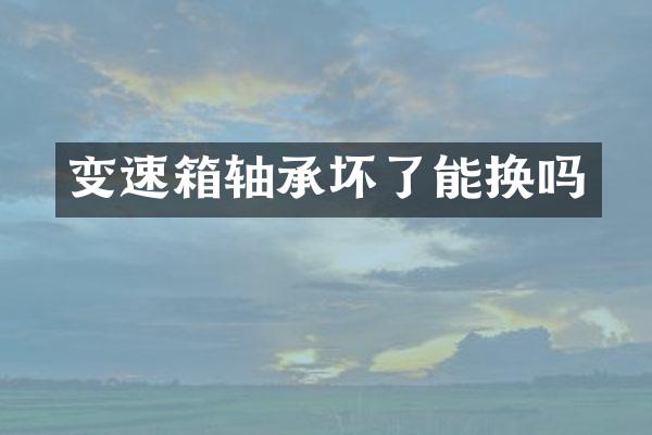 变速箱轴承坏了能换吗