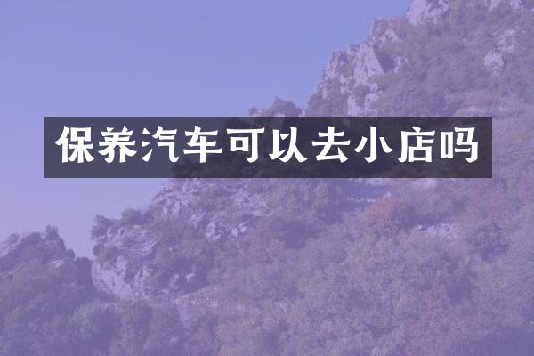 保养汽车可以去小店吗