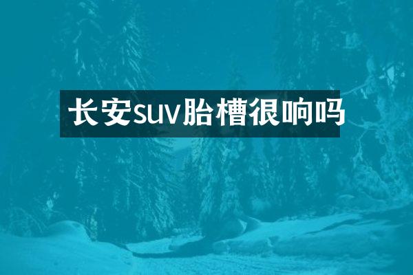 长安suv胎槽很响吗