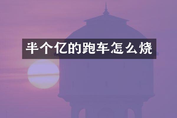 半个亿的跑车怎么烧