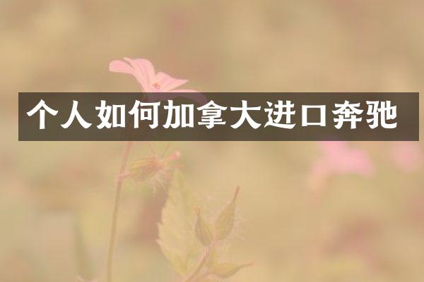 个人如何加拿大进口奔驰
