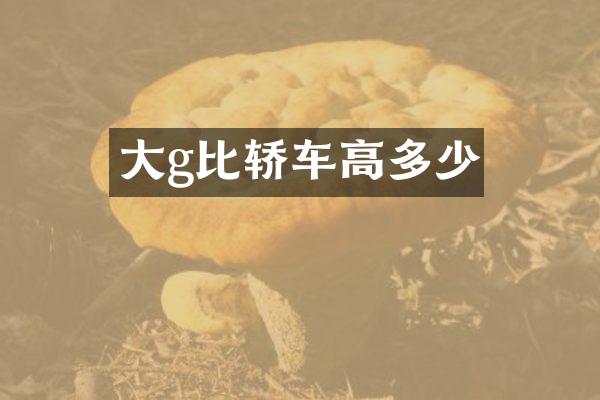 大g比轿车高多少