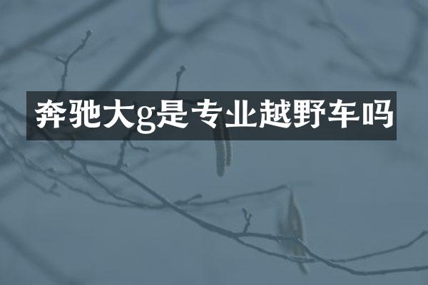 奔驰大g是专业越野车吗