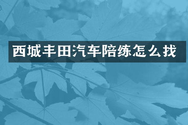 西城丰田汽车陪练怎么找