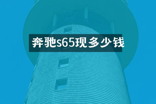 奔驰s65现多少钱