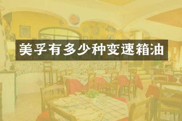 有多少种变速箱油