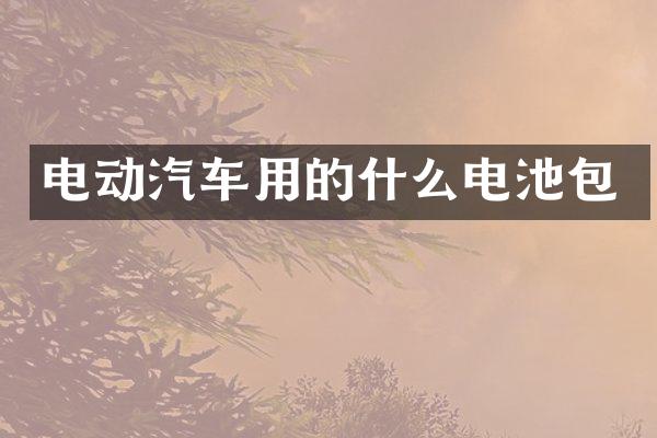 电动汽车用的什么电池包