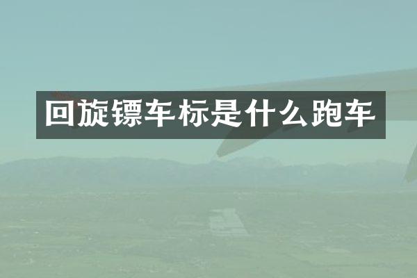 回旋镖车标是什么跑车