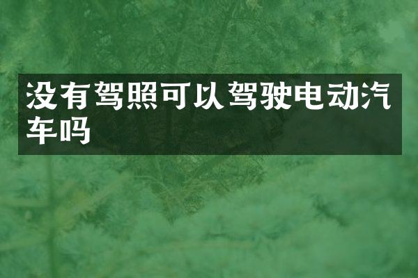 没有驾照可以驾驶电动汽车吗