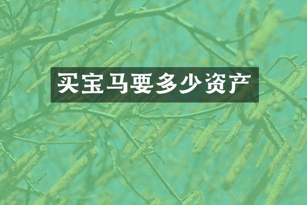 买宝马要多少资产