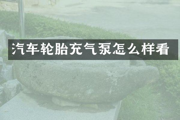 汽车轮胎充气泵怎么样看