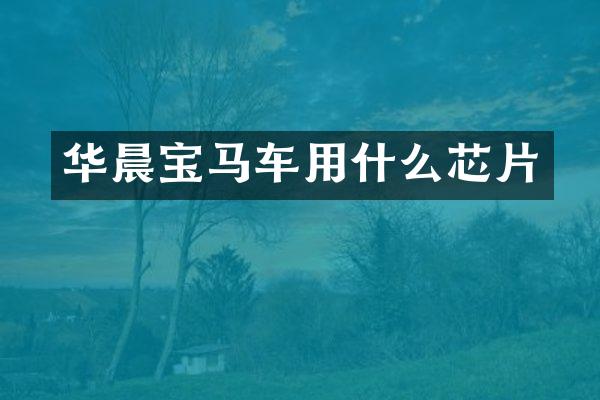华晨宝马车用什么芯片