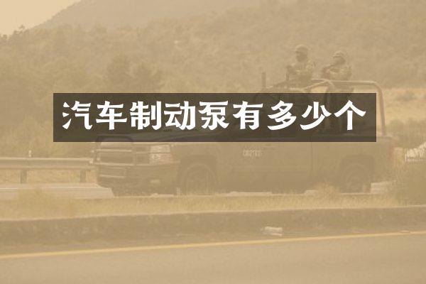 汽车制动泵有多少个