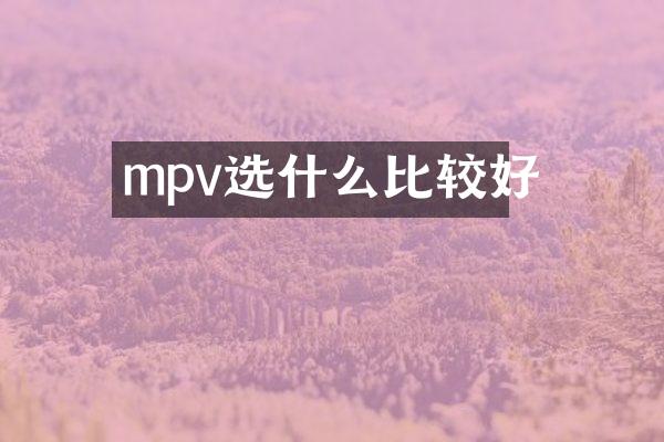 mpv选什么比较好