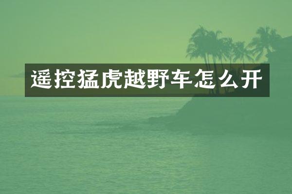遥控猛虎越野车怎么开