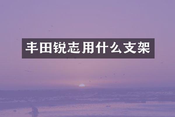 丰田锐志用什么支架