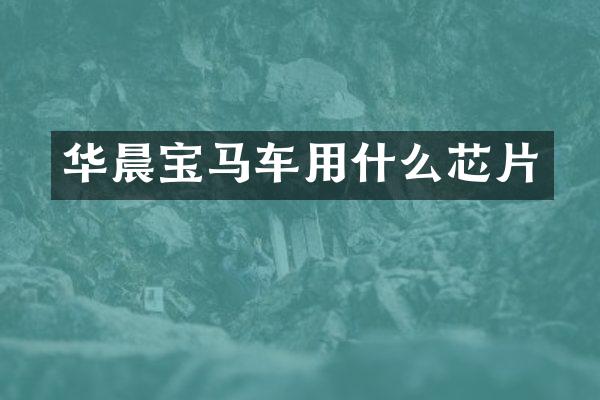 华晨宝马车用什么芯片