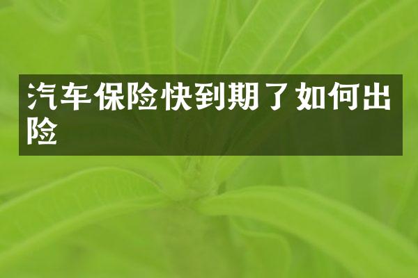 汽车保险快到期了如何出险