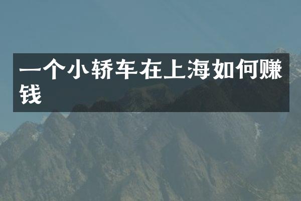 一个小轿车在上海如何赚钱