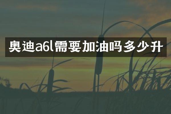 奥迪a6l需要加油吗多少升