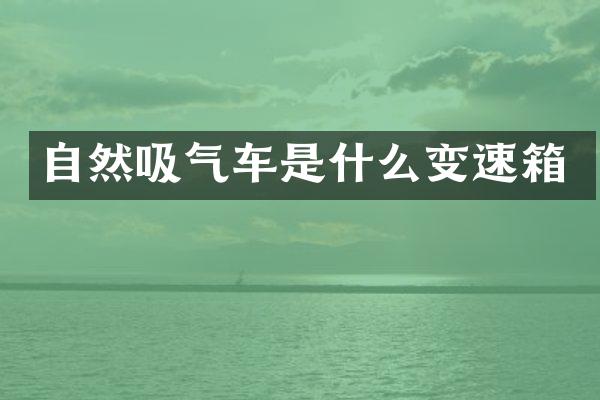 自然吸气车是什么变速箱
