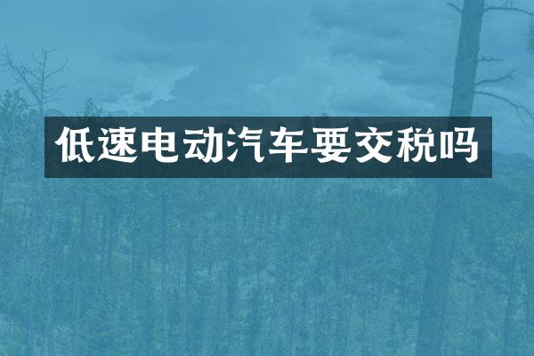 低速电动汽车要交税吗