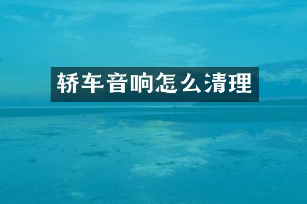 轿车音响怎么清理