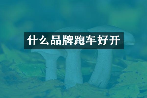 什么品牌跑车好开