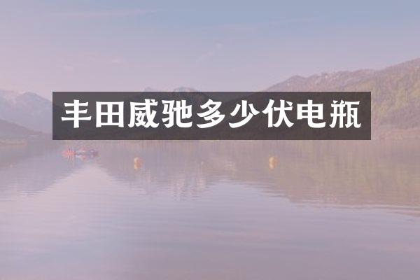 丰田威驰多少伏电瓶