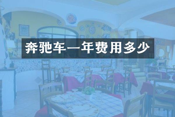 奔驰车一年费用多少