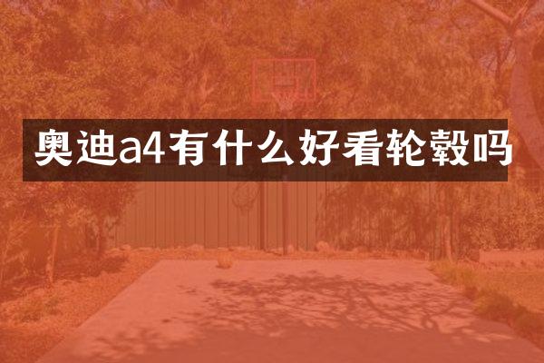奥迪a4有什么好看轮毂吗