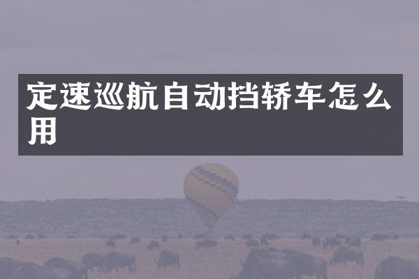 定速巡航自动挡轿车怎么用