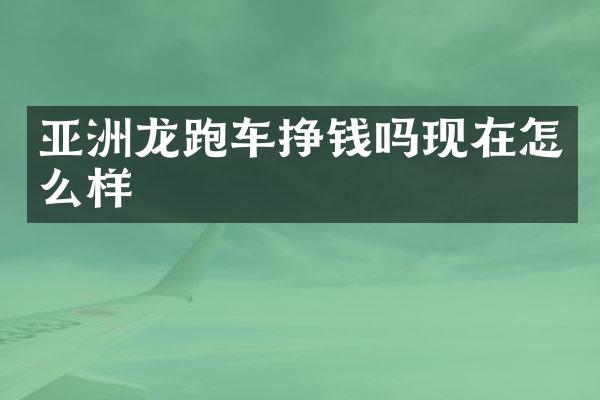 亚洲龙跑车挣钱吗现在怎么样