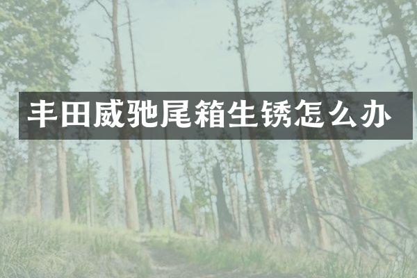 丰田威驰尾箱生锈怎么办