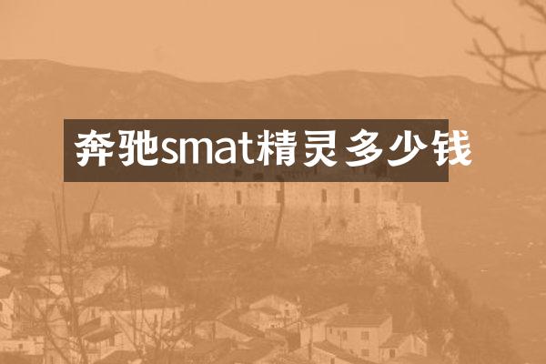 奔驰smat精灵多少钱