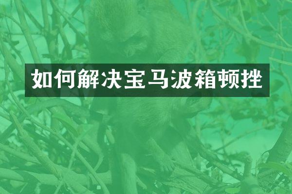 如何解决宝马波箱顿挫