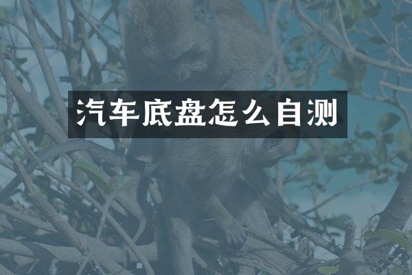 汽车底盘怎么自测