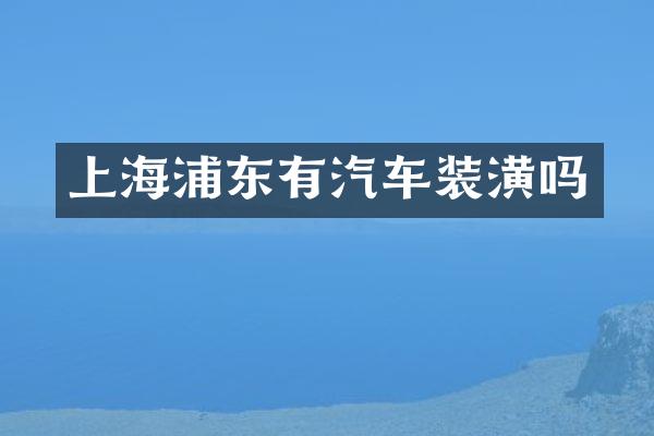 上海浦东有汽车装潢吗