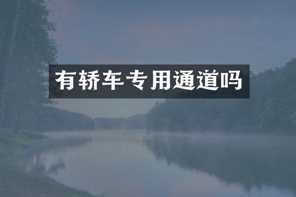 有轿车专用通道吗