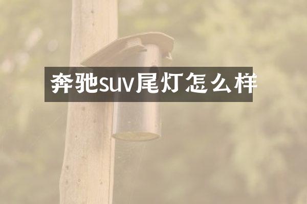 奔驰suv尾灯怎么样