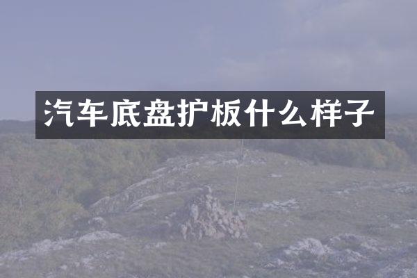 汽车底盘护板什么样子