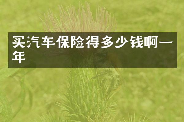 买汽车保险得多少钱啊一年