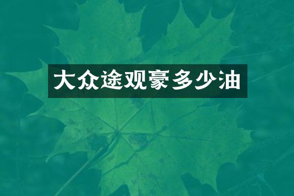 大众途观豪多少油