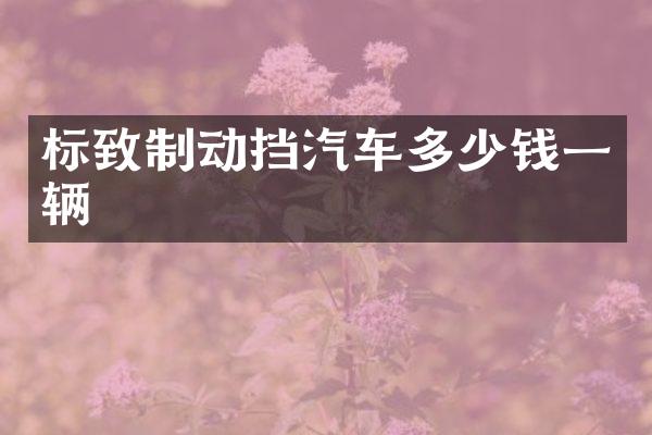 标致制动挡汽车多少钱一辆