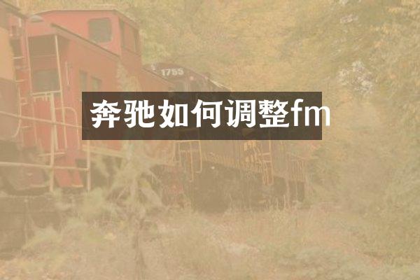奔驰如何调整fm