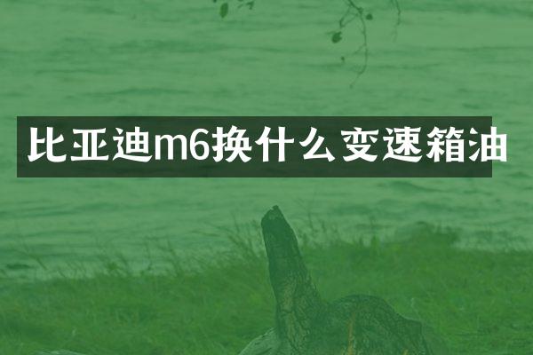 比亚迪m6换什么变速箱油