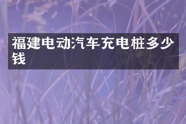 福建电动汽车充电桩多少钱