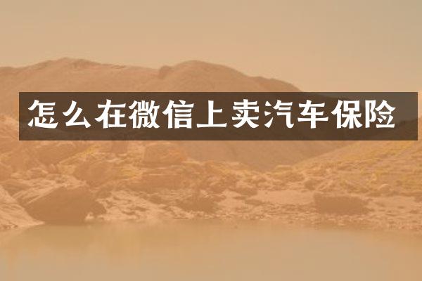 怎么在微信上卖汽车保险